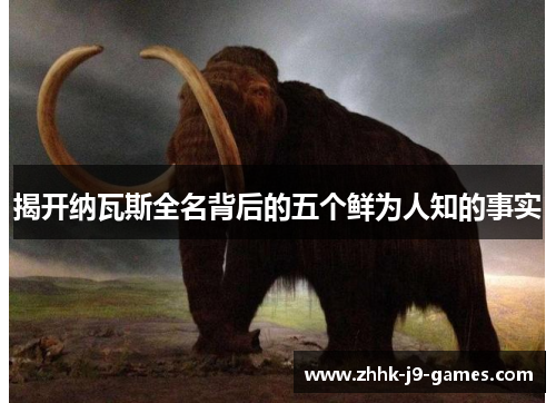 揭开纳瓦斯全名背后的五个鲜为人知的事实 揭开纳瓦斯全名背后的五个鲜为人知的事实